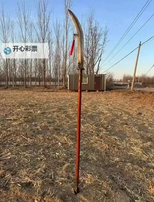 青龙偃月刀电脑版下载 青龙偃月刀电脑版的安装使用方法图1