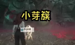 《光与影33号远征队》小芽簇支线任务攻略 小芽簇支线怎么做