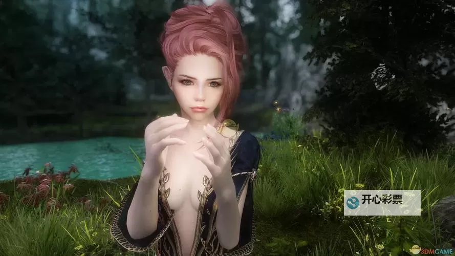 《上古卷轴5》美女随从排名一览 美女随从mod使用说明图2